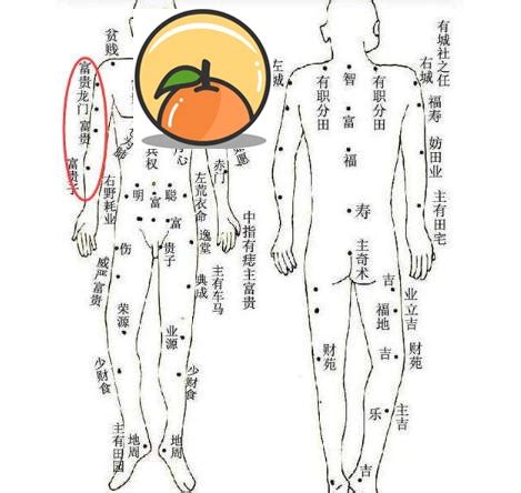 手臂 有痣|痣的位置透露出這些訊息！上手臂有痣不乏追求者、手。